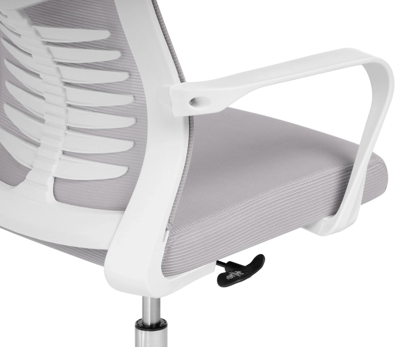 Компьютерное кресло Montana, светло-серый / белый
