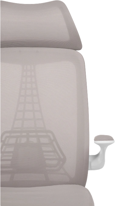 Компьютерное кресло Lokus, сетка серая