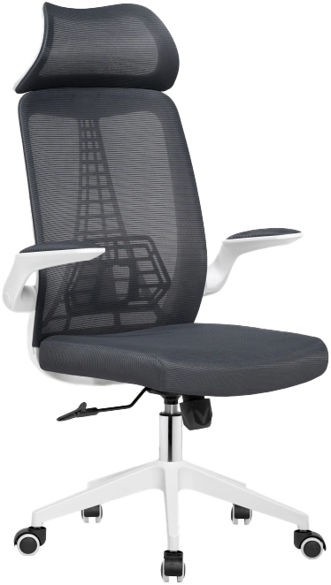 Компьютерное кресло Lokus, сетка темно-серая