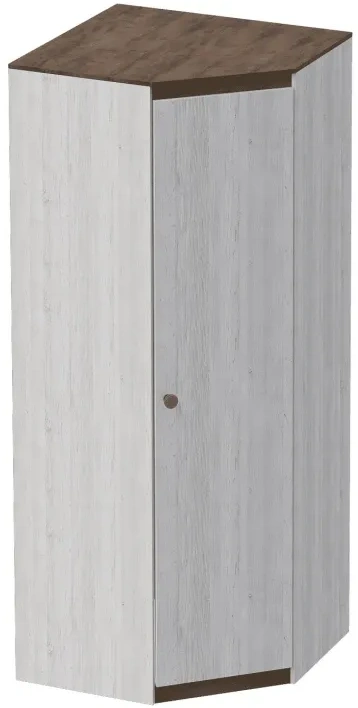 Шкаф угловой Даллас, распашной для одежды, дуб винтерберг / таксония
