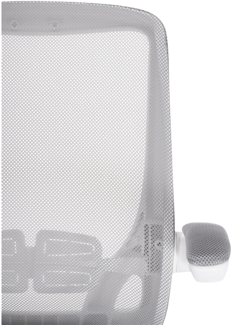 Компьютерное кресло Salem, gray / white