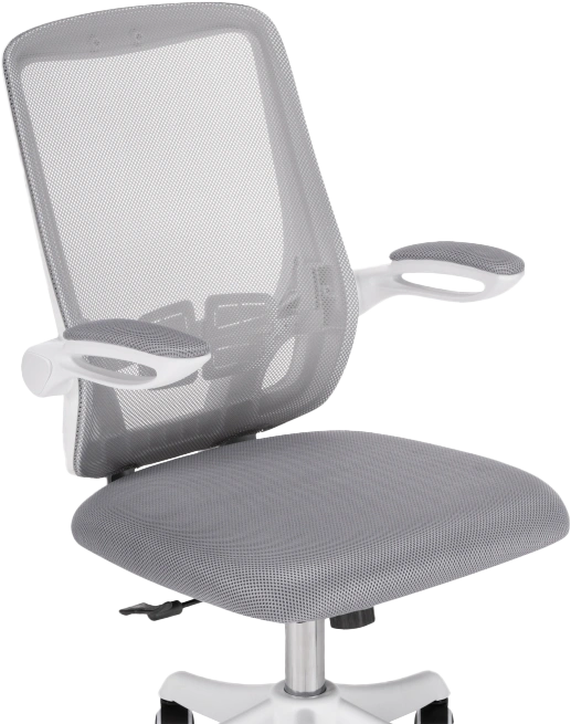 Компьютерное кресло Salem, gray / white