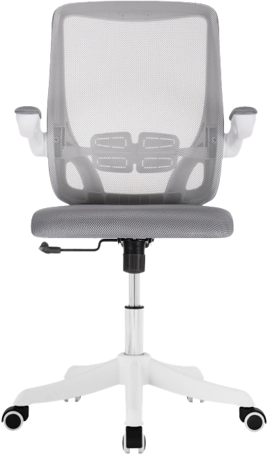 Компьютерное кресло Salem, gray / white