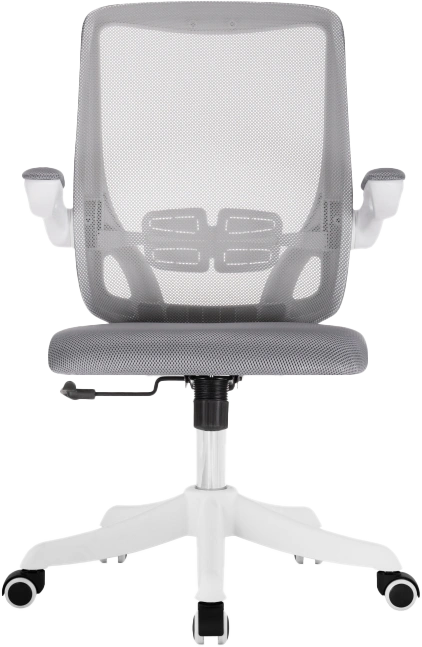 Компьютерное кресло Salem, gray / white