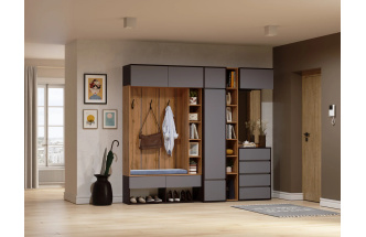 Шкаф одностворчатый Роут, распашной с полками, венге / графит софт