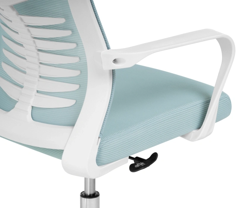 Компьютерное кресло Montana, голубой / белый