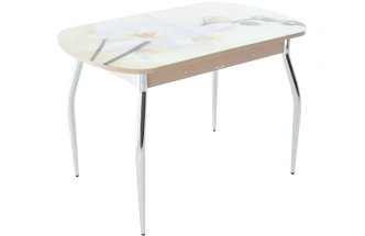 Кухонный стол Ривьера, фотопечать Цветы-5, стекло, каркас хром