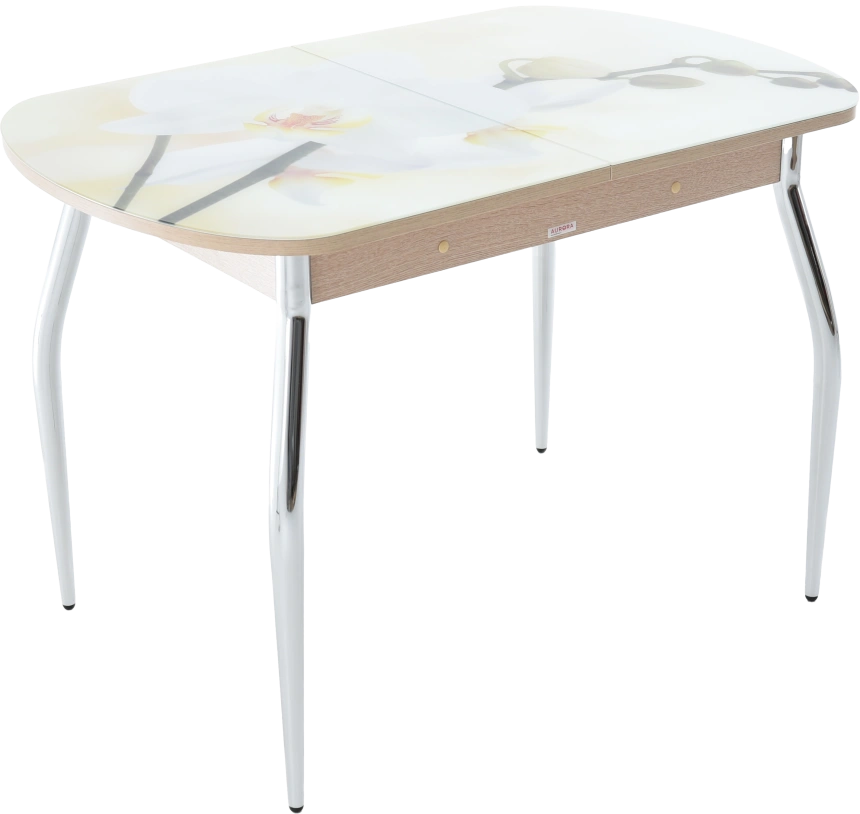 Кухонный стол Ривьера, фотопечать Цветы-5, стекло, каркас хром