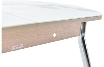 Кухонный стол Ривьера, фотопечать Цветы-5, стекло, каркас хром