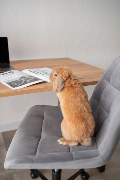 Обеденный стол Лиман, 140 х 80, дуб крафт золотой / черный матовый