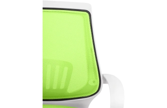 Компьютерное кресло Ergoplus, green / white