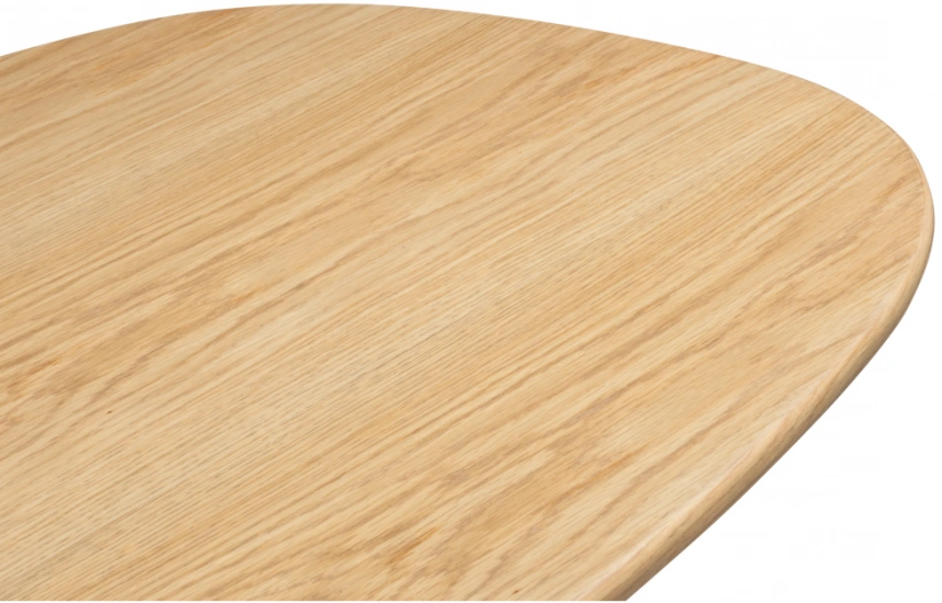 Обеденный стол Ares, дуб / черный