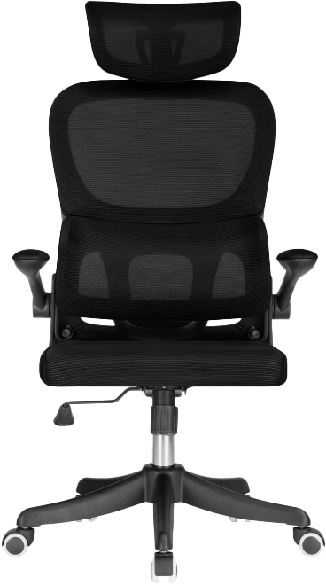 Компьютерное кресло Sprut, черный