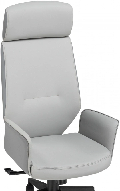 Компьютерное кресло Leo, светло-серый / темно-серый