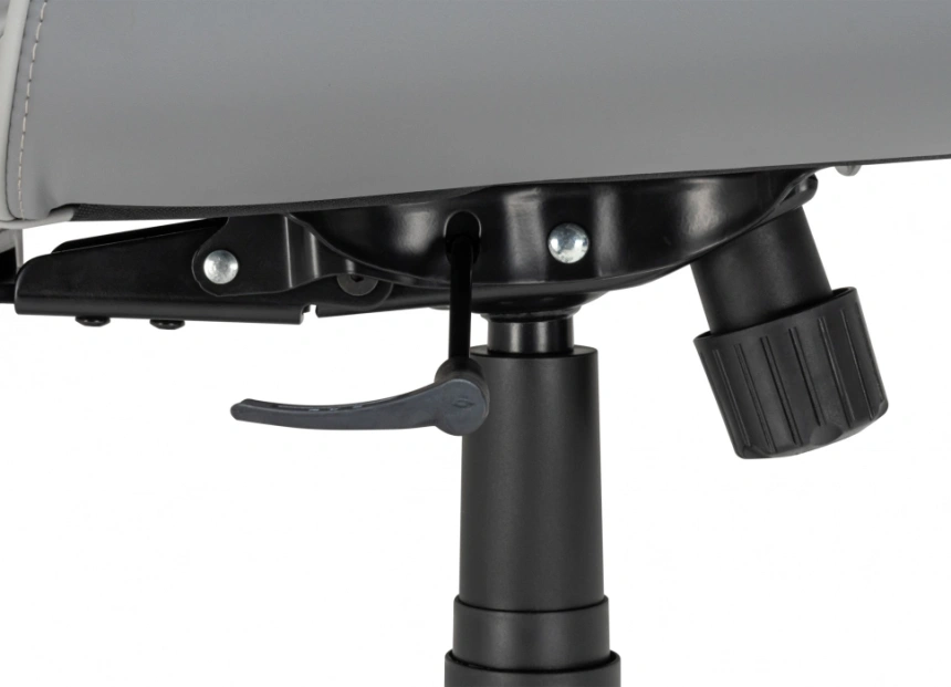 Компьютерное кресло Leo, светло-серый / темно-серый