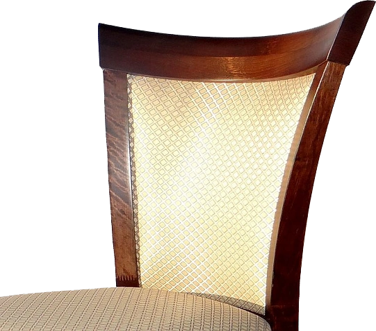 Стул Тулон, мягкий, атина 160-1, жаккард, каркас орех темный